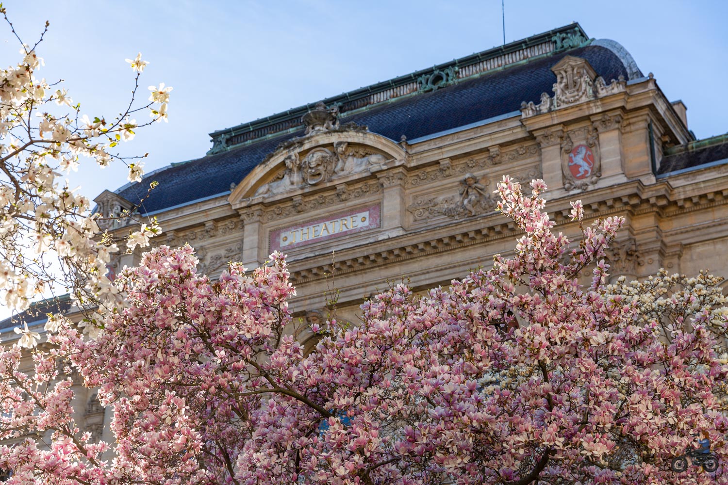 spring